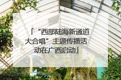 “西部陆海新通道大合唱”主题传播活动在广西启动