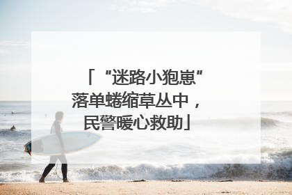 “迷路小狍崽”落单蜷缩草丛中，民警暖心救助