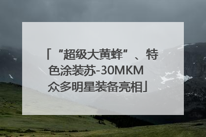 “超级大黄蜂”、特色涂装苏-30MKM 众多明星装备亮相