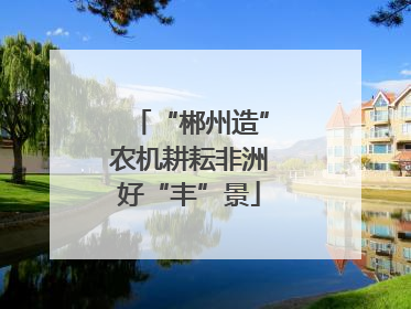 “郴州造”农机耕耘非洲好“丰”景