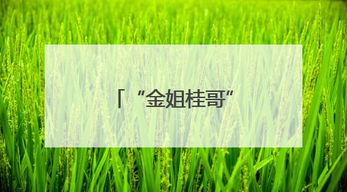 “金姐桂哥”传粽艺 企民同心助残行