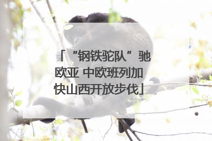 “钢铁驼队”驰欧亚 中欧班列加快山西开放步伐