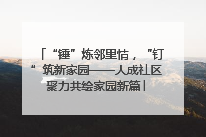 “锤”炼邻里情，“钉”筑新家园——大成社区聚力共绘家园新篇