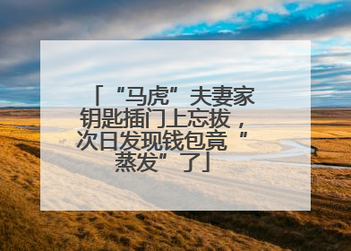 “马虎”夫妻家钥匙插门上忘拔，次日发现钱包竟“蒸发”了