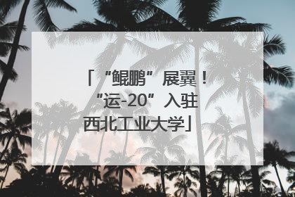 “鲲鹏”展翼！“运-20”入驻西北工业大学