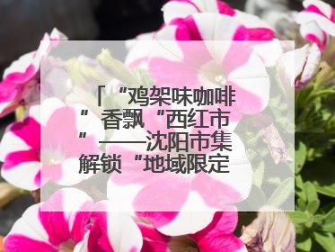 “鸡架味咖啡”香飘“西红市”——沈阳市集解锁“地域限定”消费新场景