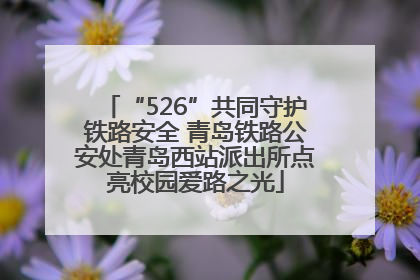 “526”共同守护铁路安全 青岛铁路公安处青岛西站派出所点亮校园爱路之光