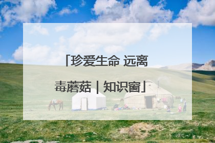 珍爱生命 远离毒蘑菇｜知识窗