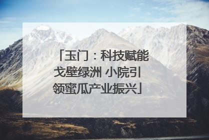 玉门：科技赋能戈壁绿洲 小院引领蜜瓜产业振兴