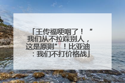 王传福哽咽了！“我们从不拉踩别人，这是原则”！比亚迪：我们不打价格战