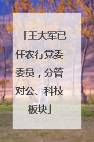 王大军已任农行党委委员，分管对公、科技板块