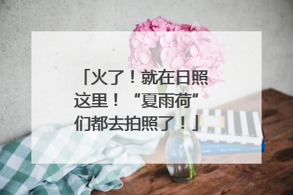 火了！就在日照这里！“夏雨荷”们都去拍照了！