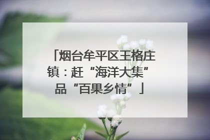 烟台牟平区王格庄镇：赶“海洋大集” 品“百果乡情”