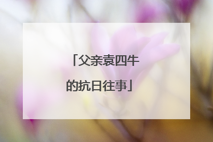 父亲袁四牛的抗日往事