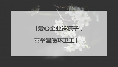 爱心企业送粽子，善举温暖环卫工