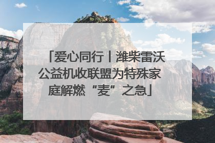爱心同行丨潍柴雷沃公益机收联盟为特殊家庭解燃“麦”之急