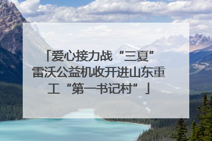 爱心接力战“三夏” 雷沃公益机收开进山东重工“第一书记村”
