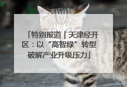 特别报道｜天津经开区：以“高智绿”转型破解产业升级压力