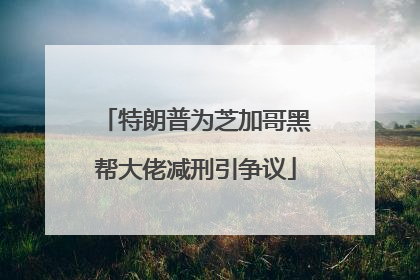 特朗普为芝加哥黑帮大佬减刑引争议