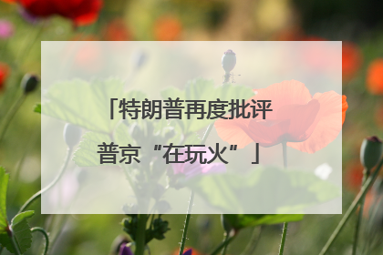 特朗普再度批评普京“在玩火”