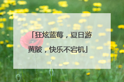 狂炫蓝莓，夏日游黄陂，快乐不宕机