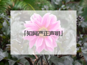 知网严正声明