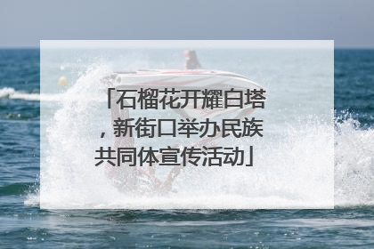石榴花开耀白塔，新街口举办民族共同体宣传活动