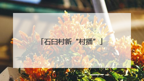 石臼村新“村播”