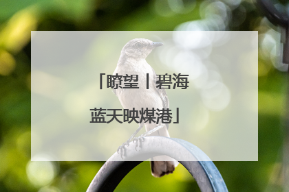 瞭望丨碧海蓝天映煤港