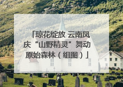 琼花绽放 云南凤庆“山野精灵”舞动原始森林（组图）