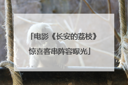 电影《长安的荔枝》惊喜客串阵容曝光
