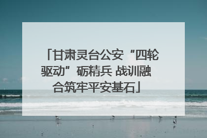 甘肃灵台公安“四轮驱动”砺精兵 战训融合筑牢平安基石