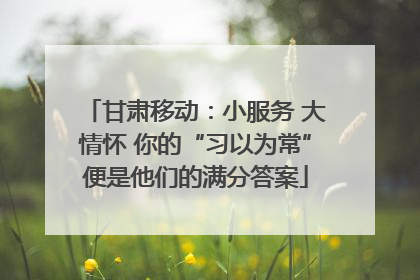 甘肃移动：小服务 大情怀 你的“习以为常”便是他们的满分答案
