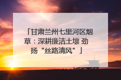 甘肃兰州七里河区烟草：深耕廉洁土壤 劲扬“丝路清风”