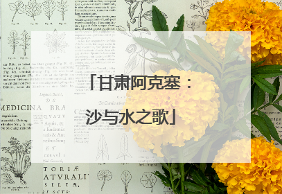 甘肃阿克塞：沙与水之歌