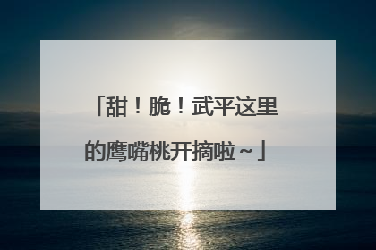 甜！脆！武平这里的鹰嘴桃开摘啦～