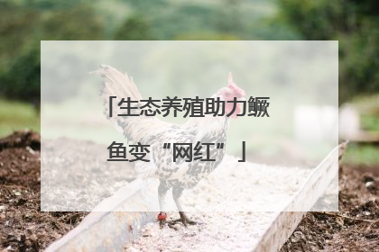 生态养殖助力鳜鱼变“网红”