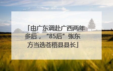 由广东调赴广西两年多后，“85后”张东方当选苍梧县县长