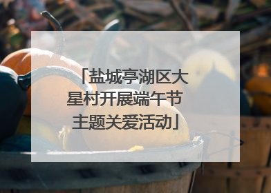 盐城亭湖区大星村开展端午节主题关爱活动