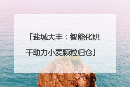 盐城大丰：智能化烘干助力小麦颗粒归仓