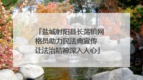 盐城射阳县长荡镇网格员助力民法典宣传 让法治精神深入人心