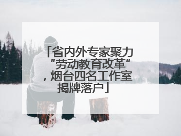 省内外专家聚力“劳动教育改革”，烟台四名工作室揭牌落户