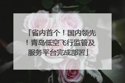 省内首个！国内领先！青岛低空飞行监管及服务平台完成部署