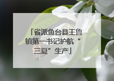 省派鱼台县王鲁镇第一书记护航“三夏”生产