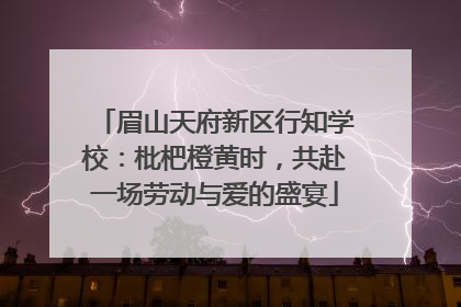 眉山天府新区行知学校：枇杷橙黄时，共赴一场劳动与爱的盛宴
