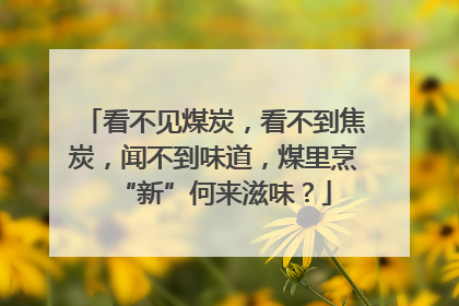 看不见煤炭，看不到焦炭，闻不到味道，煤里烹“新”何来滋味？
