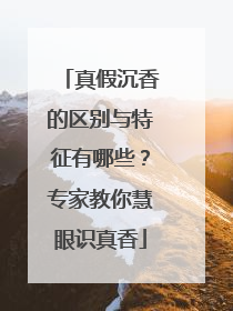 真假沉香的区别与特征有哪些？专家教你慧眼识真香