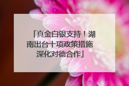 真金白银支持！湖南出台十项政策措施深化对德合作