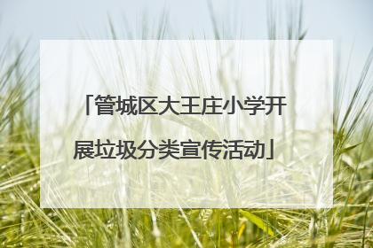 管城区大王庄小学开展垃圾分类宣传活动