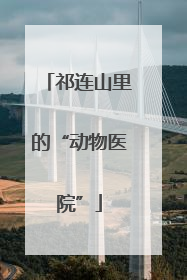 祁连山里的“动物医院”